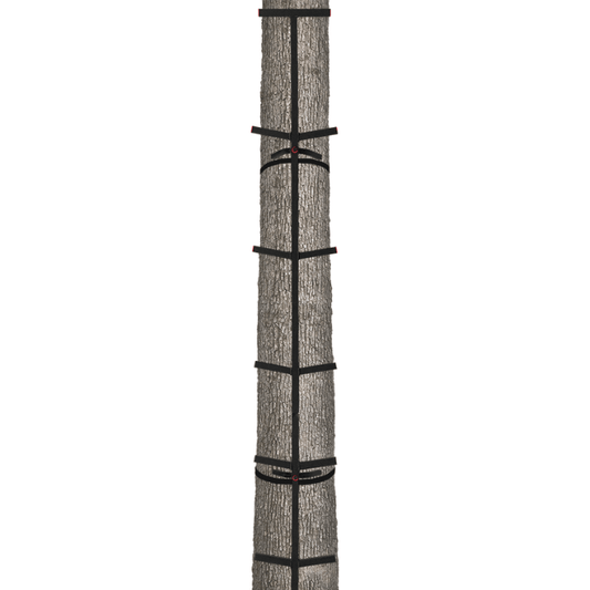 20' Double Step Climbing Stick